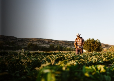 Soluções para o Agronegócio